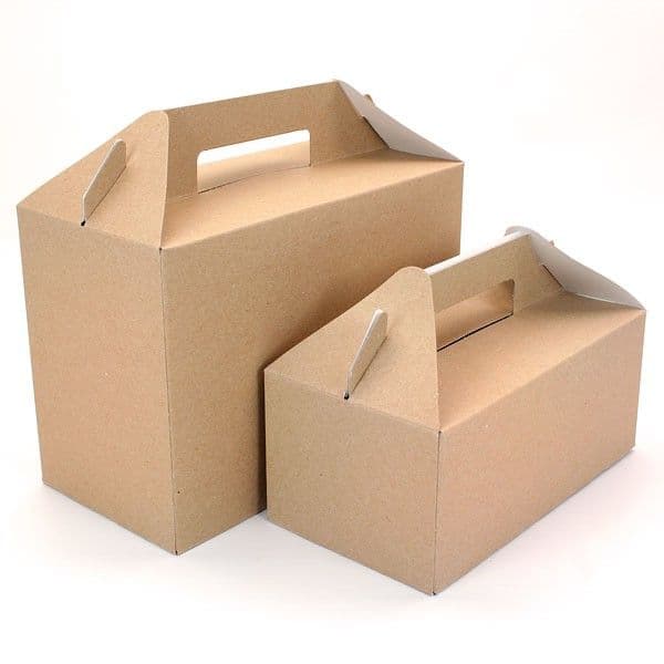 Paperboard Carry Pack Boxes (Pack of 125)