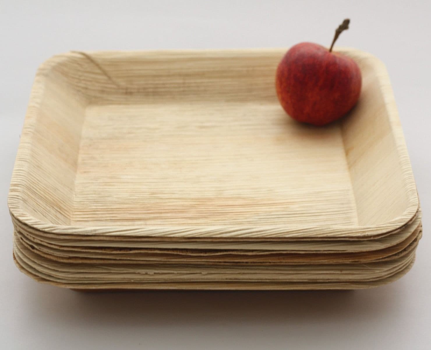 25 x Square 9" Biodegradable Palm Leaf Plates