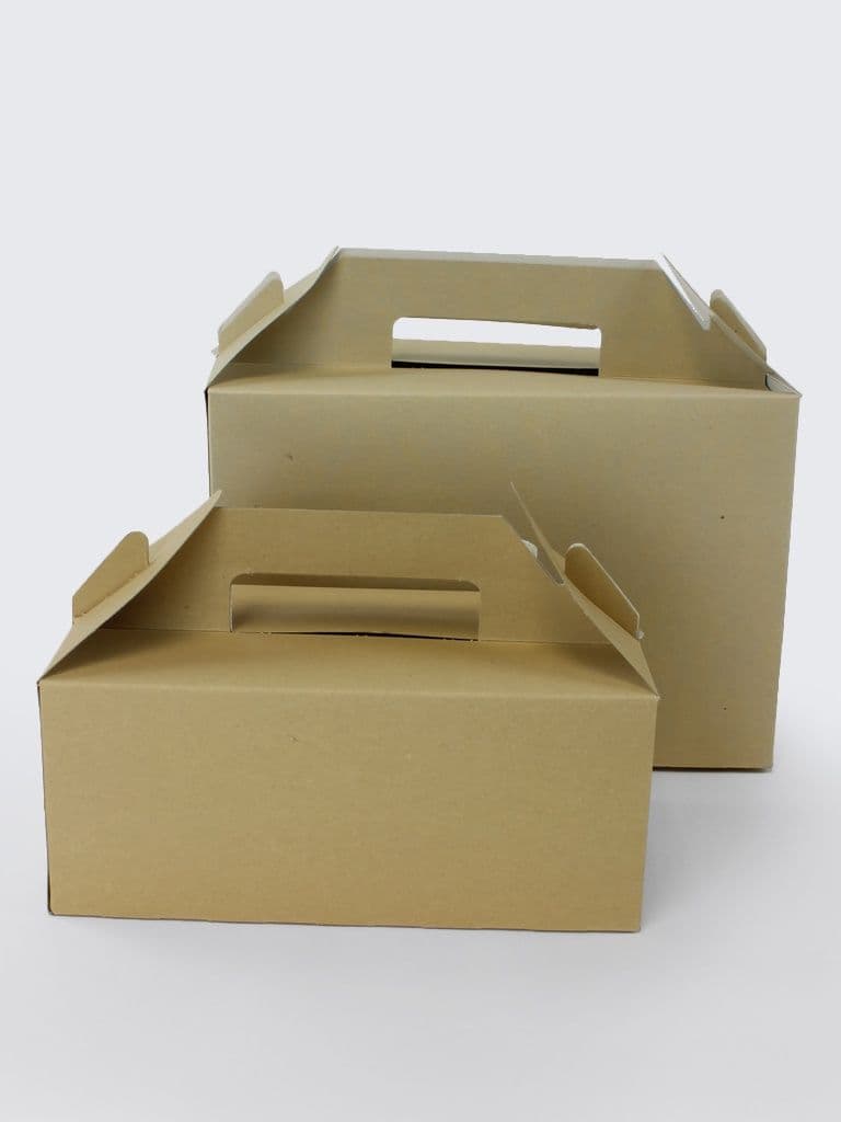 Paperboard Carry Pack Boxes (Pack of 125)