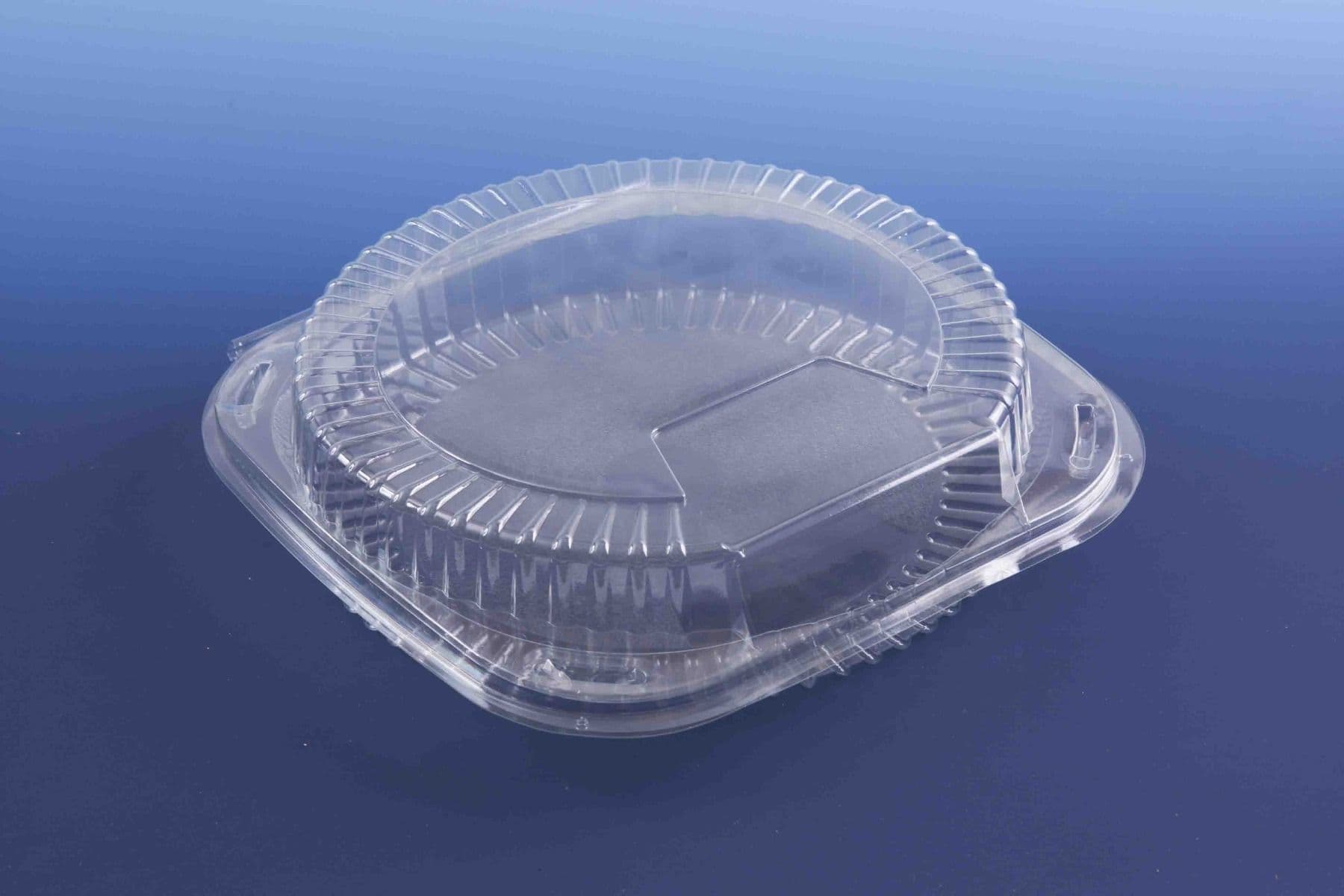 Patipack Clear Round Tart Container