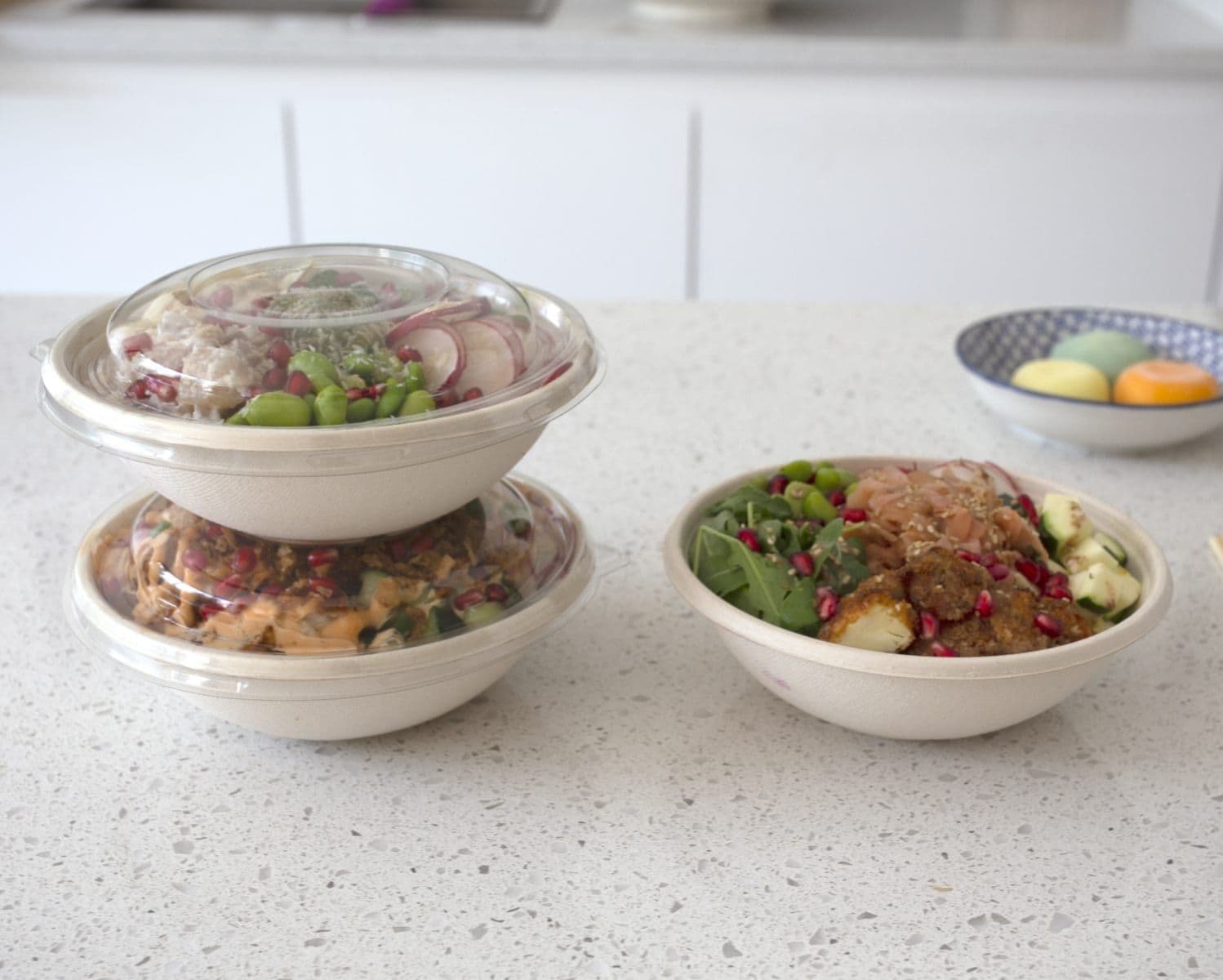 Compostable Bagasse Buddha Bowls
